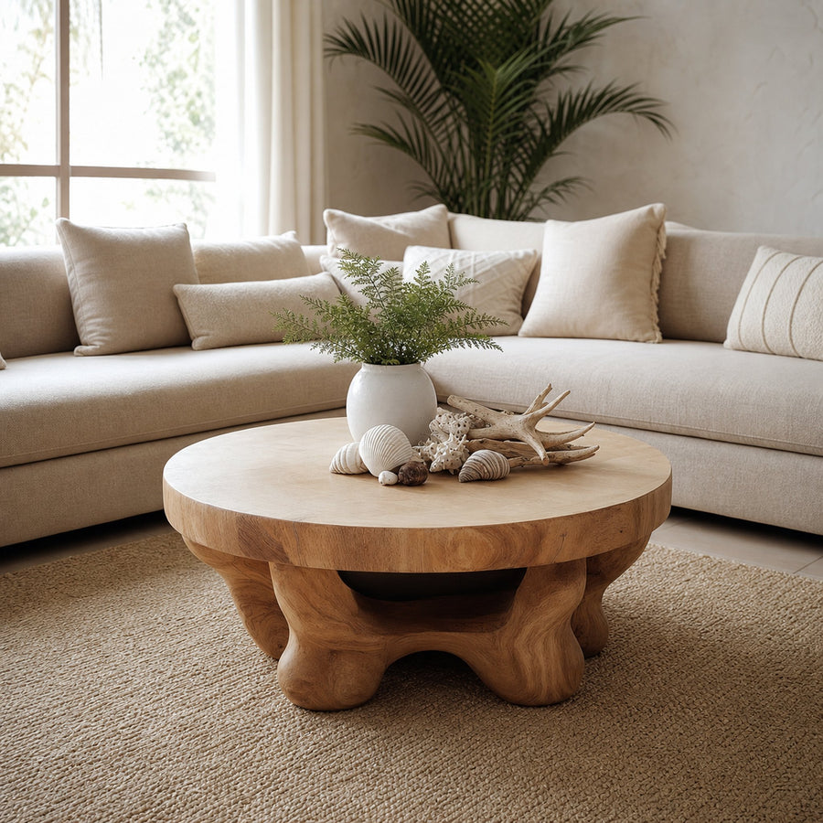Mid Century Modern Coffee Table Family Room