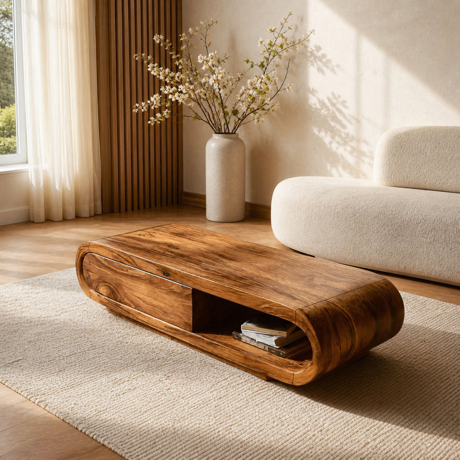 Modern Low Coffee Table With Storage For Living Room
