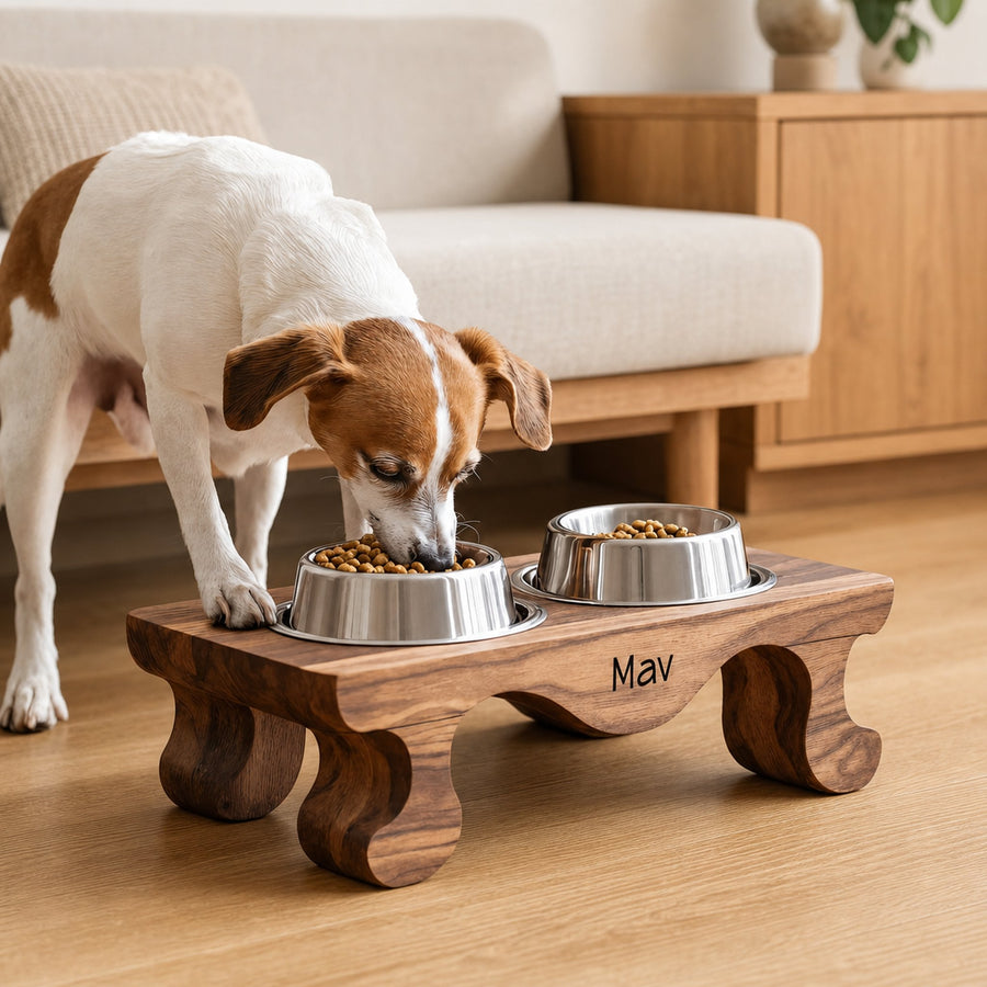 Handcrafted Feeding Stand For Dog Kitchen Corner
