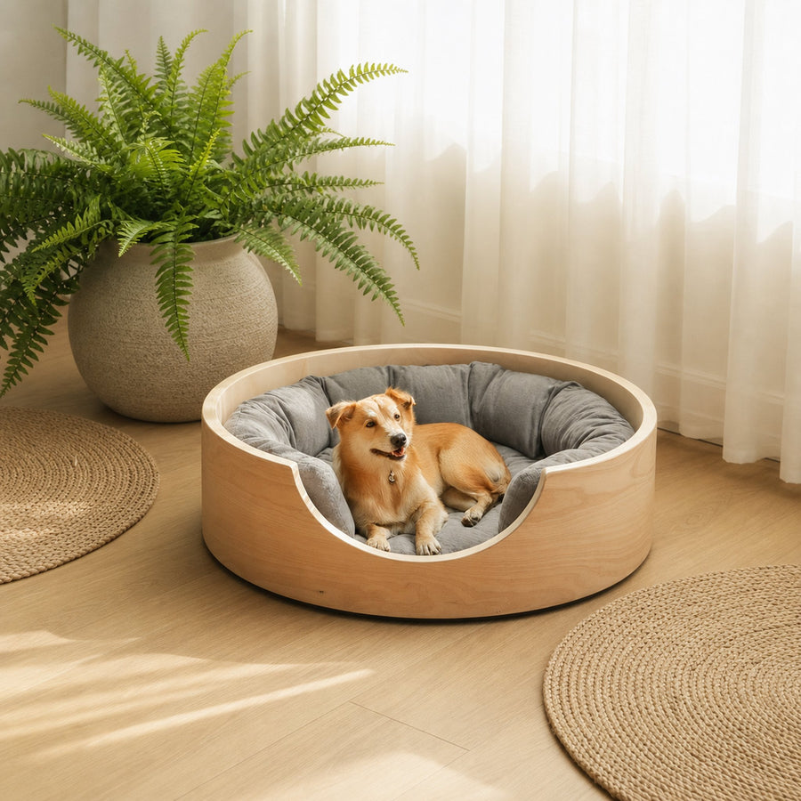 Japandi Minimal Pet Lounge Bed For Bedroom Or Living Space