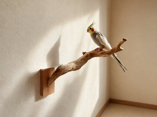 Organic Modern Sculptural Bird Perch For Home