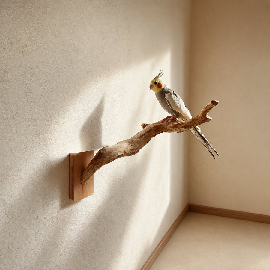 Organic Modern Sculptural Bird Perch For Home