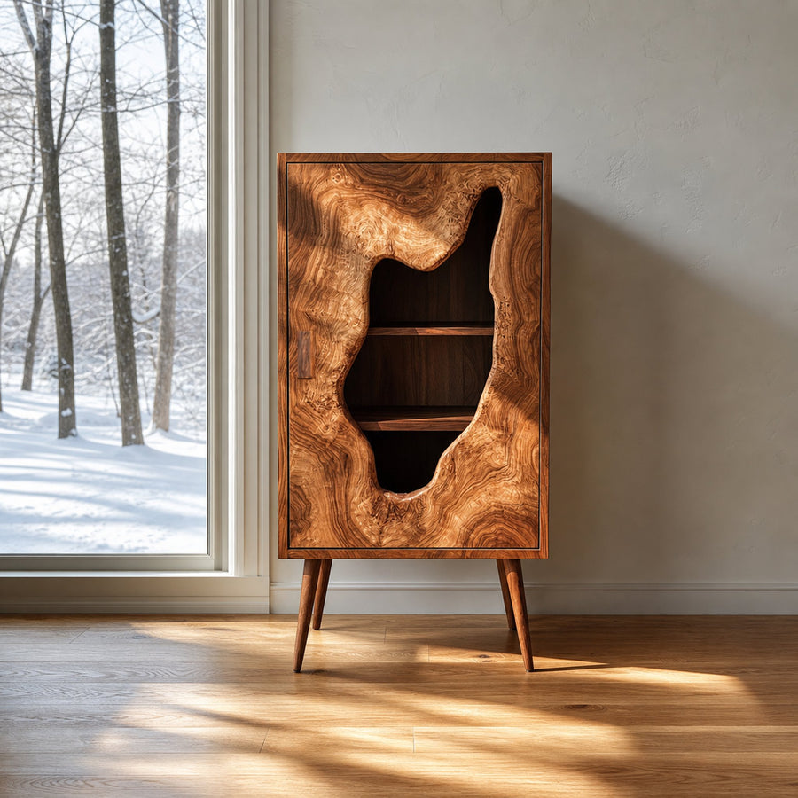 Mid Century Modern Curved Door Cabinet Living Room Or Entryway