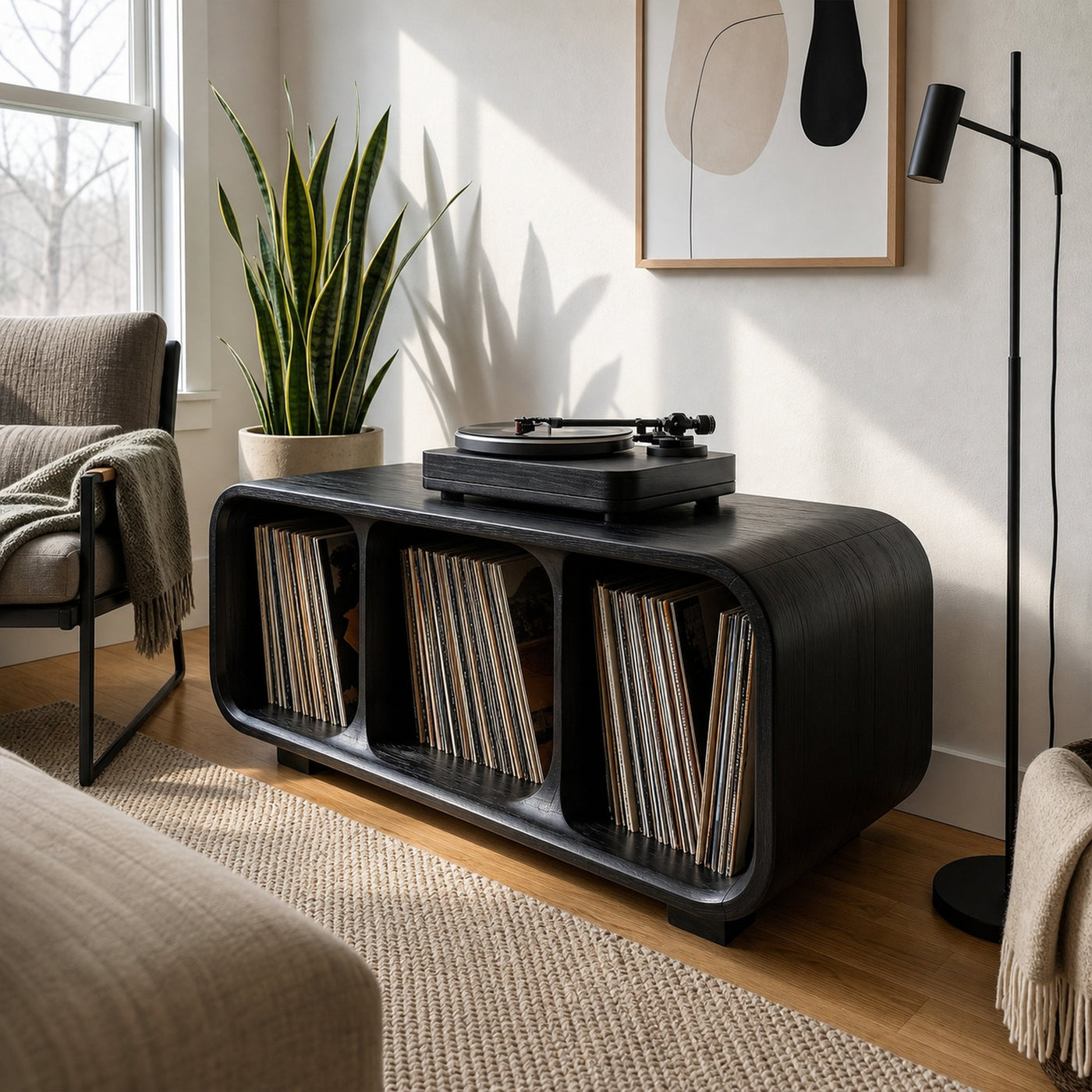 Mid Century Vinyl Record Cabinet For Living Room - product view 7