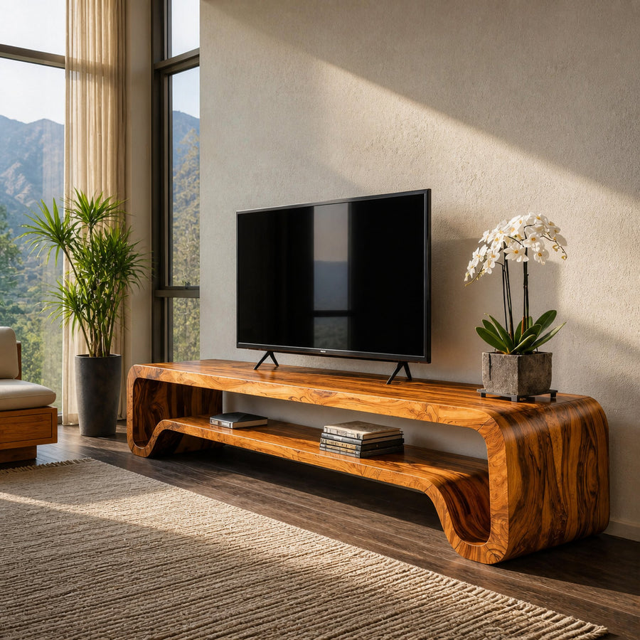 Modern Sculptural Wooden TV Cabinet For Living Room